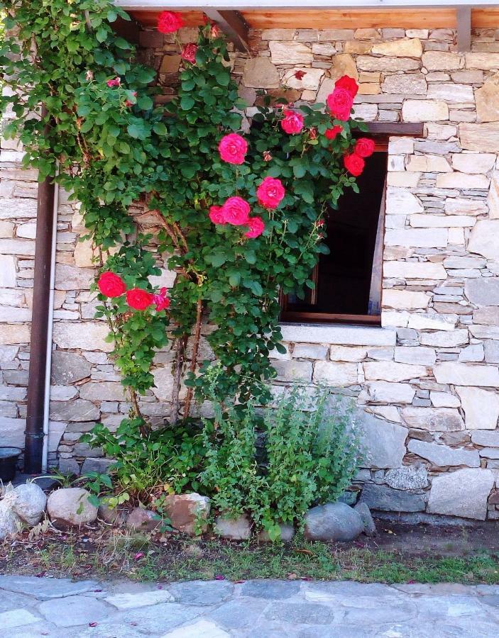 Trarego Casa Cicalaヴィラ エクステリア 写真